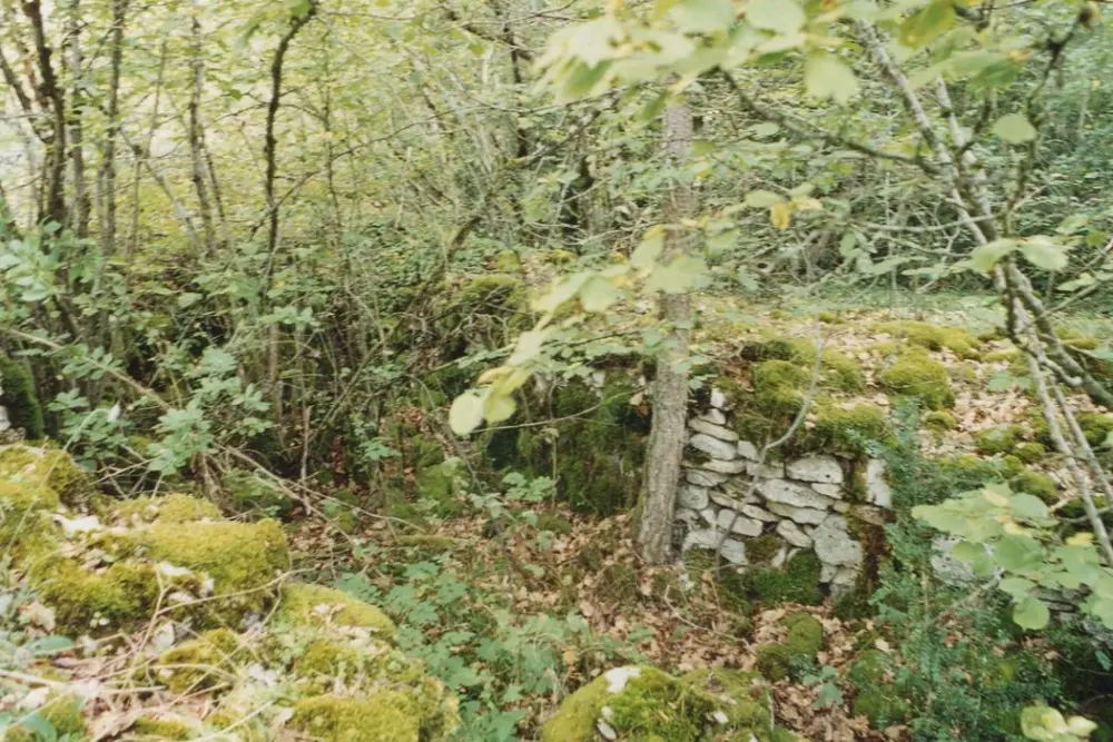 Foto de Campamento prehistórico de Châtelet - POP Plateforme Ouverte du Patrimoine / Base Mérimée - © Ministère de la Culture (France), Direction Régionale des Affaires Culturelles de Bourgogne-Franche-Comté – Tous droits réservés 