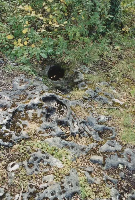 Foto de Roche du Pas-de-Saint-Martin - POP Plateforme Ouverte du Patrimoine / Base Mérimée - © Ministère de la Culture (France), Direction Régionale des Affaires Culturelles de Bourgogne-Franche-Comté – Tous droits réservés 