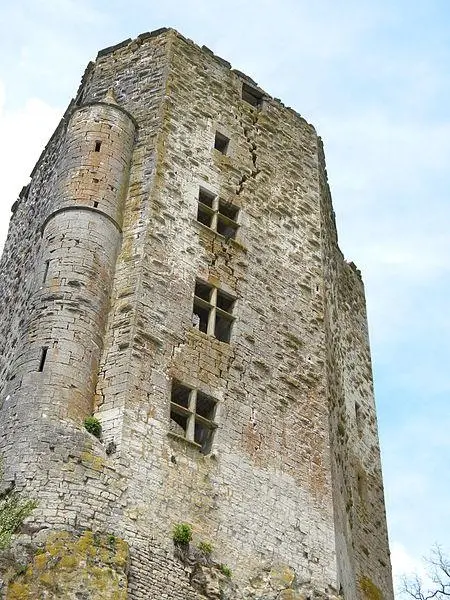 Foto de Castillo (Vestigios del viejo) - Nicole Jacquin - © Creative Commons (https://creativecommons.org/licenses/by-sa/4.0/deed.fr)