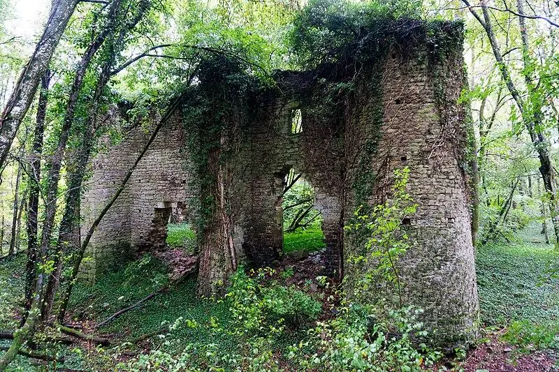 Foto von Château de Ledavrée (Überreste) - CrlNvl - © Creative Commons (https://creativecommons.org/licenses/by-sa/4.0/deed.fr)