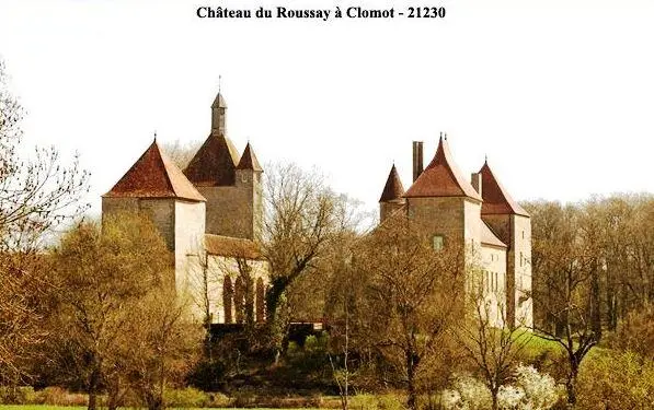 Foto de Château du Roussay - inconnu - © Creative Commons (https://creativecommons.org/licenses/by-sa/4.0/deed.fr)