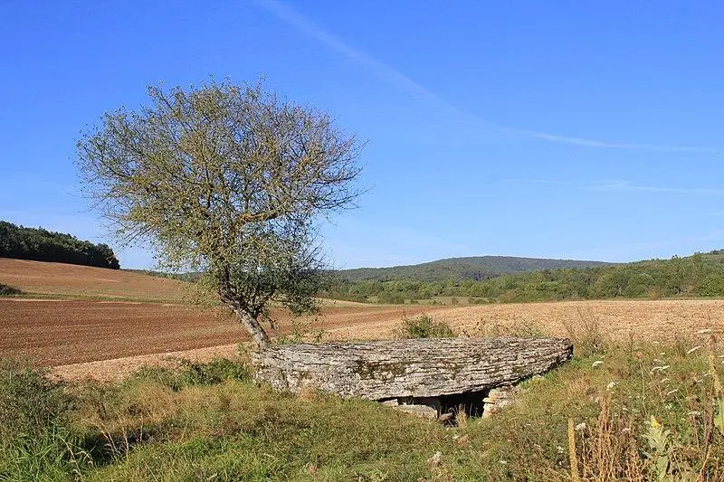 Foto de Dolmen dice el marrón de piedra - Timothee Boissy-Ganivet - © Creative Commons (https://creativecommons.org/licenses/by-sa/4.0/deed.fr)