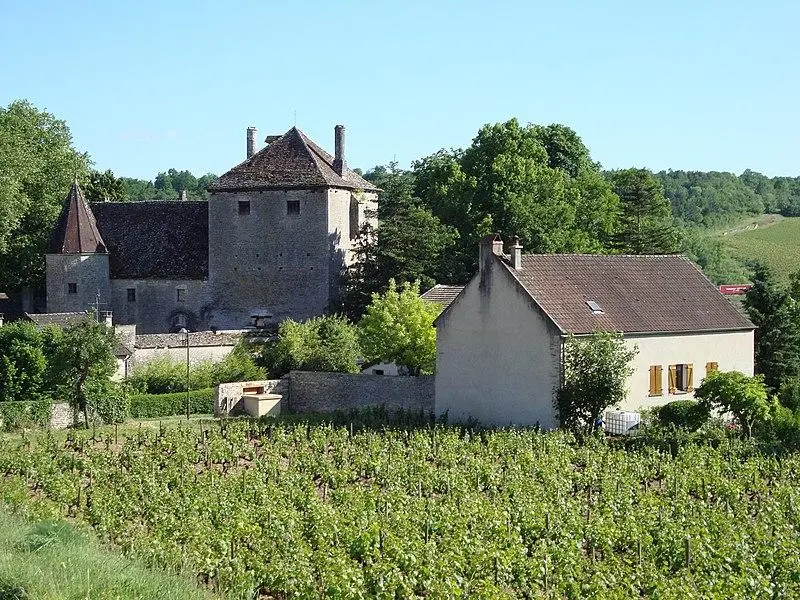 Foto von Gamay Castle - Havang(nl) - © Creative Commons (https://creativecommons.org/licenses/by-sa/4.0/deed.fr)