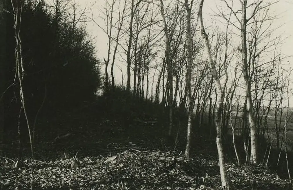 Foto de Roman Road de Autun a Orleans (antiguo) - POP Plateforme Ouverte du Patrimoine / Base Mérimée - © Ministère de la Culture (France), Médiathèque du patrimoine et de la photographie, tous droits réservés