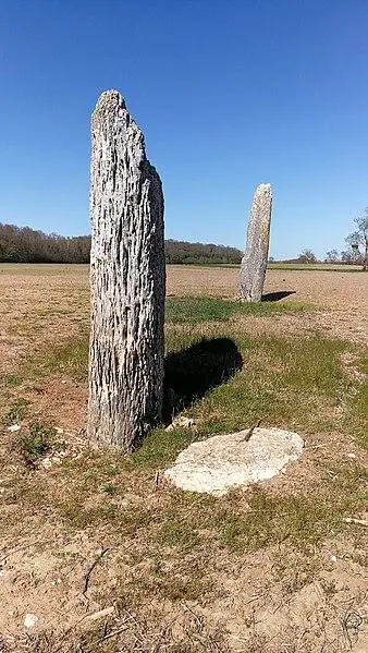 Foto von Menhir sagt steinfrei - Will Of Death - © Creative Commons (https://creativecommons.org/licenses/by-sa/4.0/deed.fr)