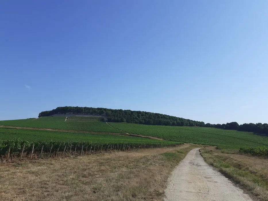 Foto von Caesar oder Lammfeld - POP Plateforme Ouverte du Patrimoine / Base Mérimée - © Ministère de la Culture (France), Direction Régionale des Affaires Culturelles de Bourgogne-Franche-Comté – Tous droits réservés 