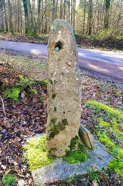 Foto von Menhir sagt, der Haute-Borne oder der Borne-Perceae - LaHoussaye - © Creative Commons (https://creativecommons.org/licenses/by-sa/4.0/deed.fr)