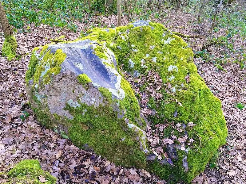 Foto von Polierer sagt faulen Menschen - LaHoussaye - © Creative Commons (https://creativecommons.org/licenses/by-sa/4.0/deed.fr)