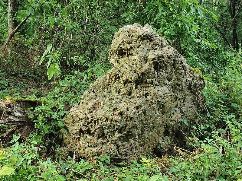 Foto von Menhir - François GOGLINS - © Creative Commons (https://creativecommons.org/licenses/by-sa/4.0/deed.fr)