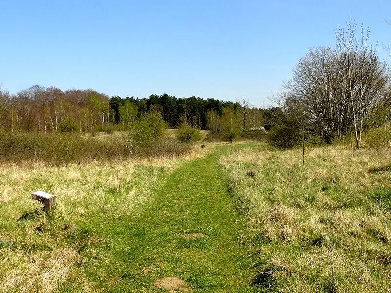Foto di Gallic Oppidum e Cesar Camp - P.poschadel - © Creative Commons (https://creativecommons.org/licenses/by-sa/4.0/deed.fr)