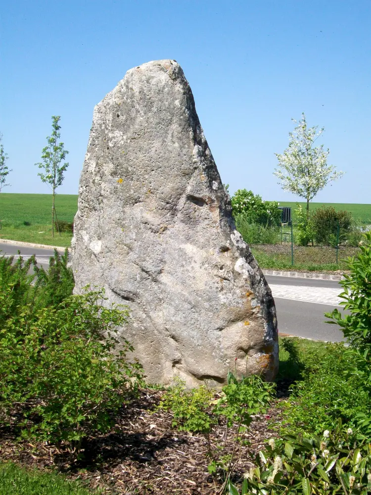 Foto von Megalithe sagt gigantischer Schwanz - Sous licence Creative Commons (https://creativecommons.org/licenses/by-sa/4.0/deed.fr) - Par P.poschadel - © Creative Commons (https://creativecommons.org/licenses/by-sa/4.0/deed.fr)