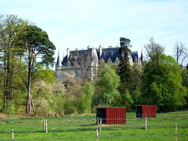 Foto di Château de Vallière - P.poschadel - © Creative Commons (https://creativecommons.org/licenses/by-sa/4.0/deed.fr)