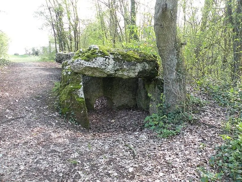 Foto di Fata Dolmen di pietra - Chatsam - © Creative Commons (https://creativecommons.org/licenses/by-sa/4.0/deed.fr)