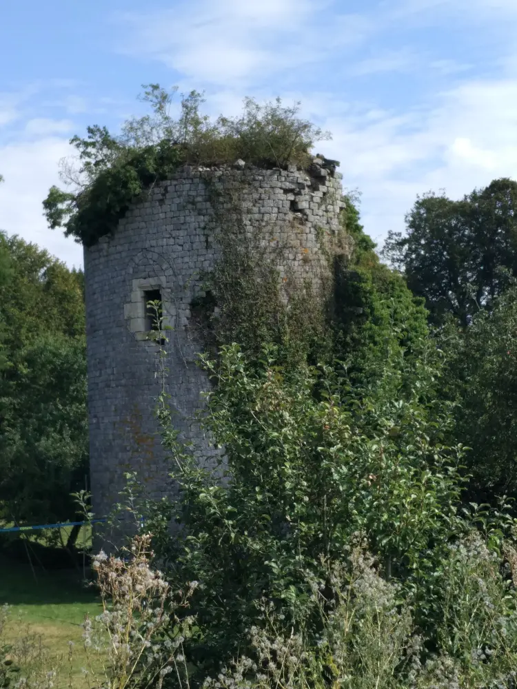 Foto von Schloss - Sous licence Creative Commons (https://creativecommons.org/licenses/by-sa/4.0/deed.fr) - Par Emmanuelf02 - © Creative Commons (https://creativecommons.org/licenses/by-sa/4.0/deed.fr)
