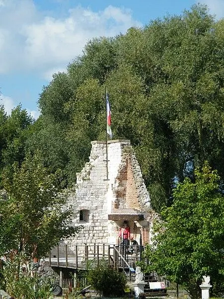 Foto de Ruinas del castillo de PourTicourt - APictche - © Creative Commons (https://creativecommons.org/licenses/by-sa/4.0/deed.fr)