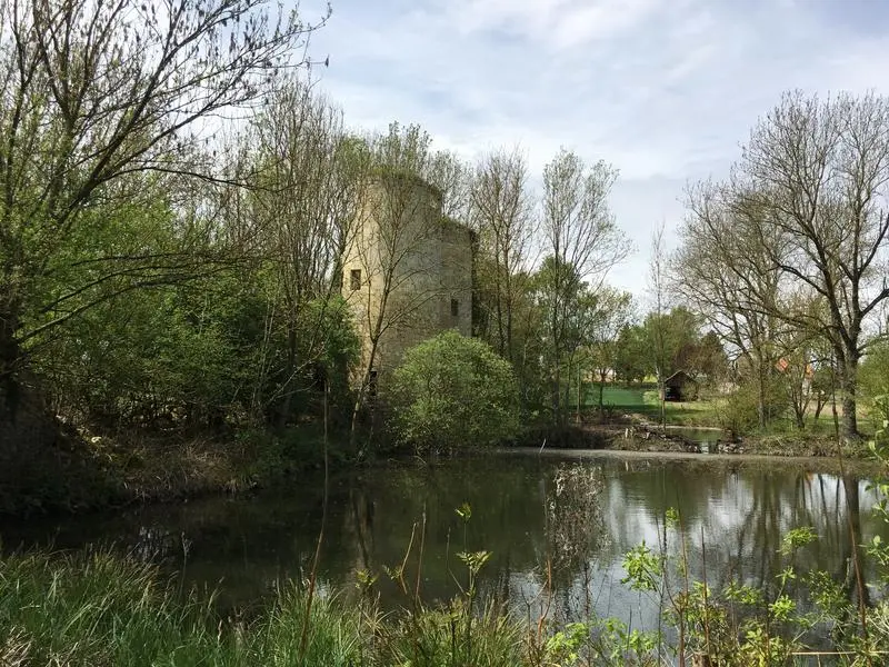 Foto von Überreste der Happlaincourt -Burg - Thomas Housieaux - © Creative Commons (https://creativecommons.org/licenses/by-sa/4.0/deed.fr)