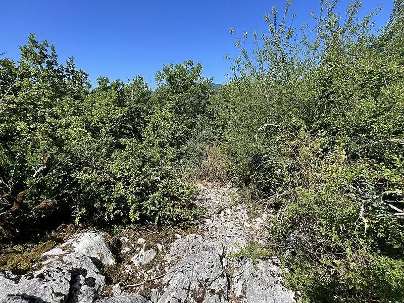 Foto di Camp delle porte preistoriche - Chabe01 - © Creative Commons (https://creativecommons.org/licenses/by-sa/4.0/deed.fr)