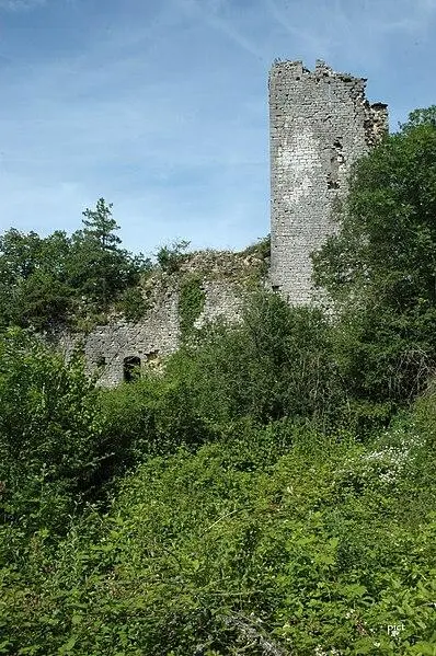 Foto von Schloss (Rest) - Pict01 - © Creative Commons (https://creativecommons.org/licenses/by-sa/4.0/deed.fr)