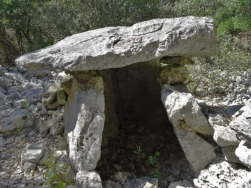 Foto di Gruppo Malbosc Dolmens - Celeda - © Creative Commons (https://creativecommons.org/licenses/by-sa/4.0/deed.fr)