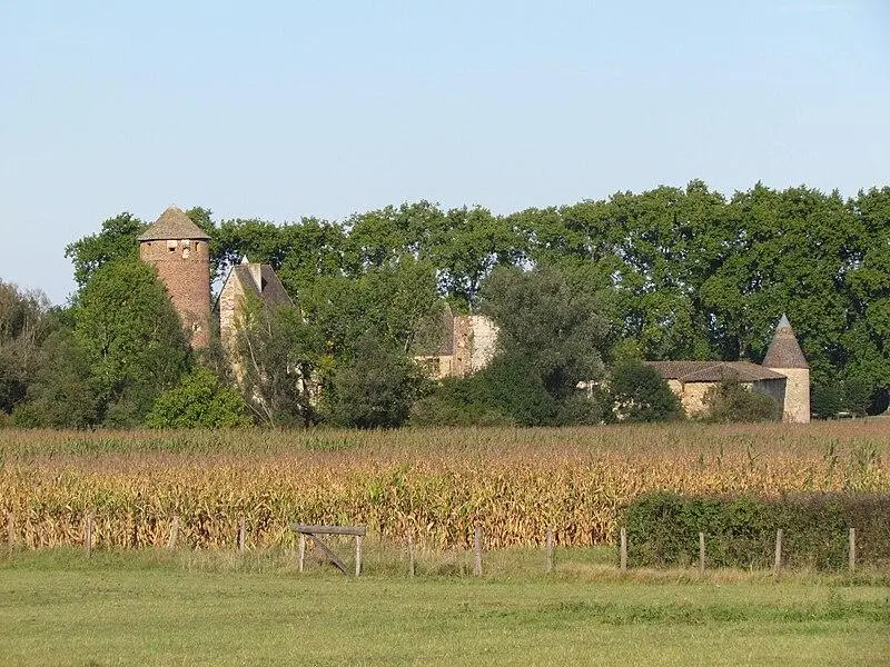 Foto von Arginy Castle - Nesme - © Creative Commons (https://creativecommons.org/licenses/by-sa/4.0/deed.fr)