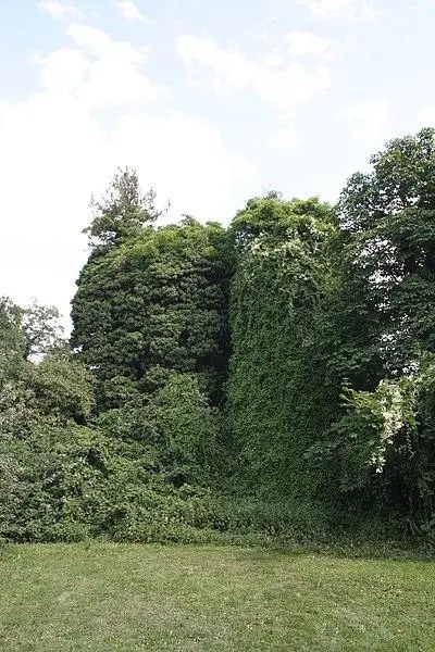 Foto von Gallo-römischer Aquädukt des Yzeron - User:Otourly - © Creative Commons (https://creativecommons.org/licenses/by-sa/4.0/deed.fr)