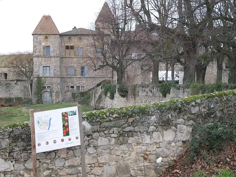 Foto von Château de Gallée - PHILDIC - © Creative Commons (https://creativecommons.org/licenses/by-sa/4.0/deed.fr)