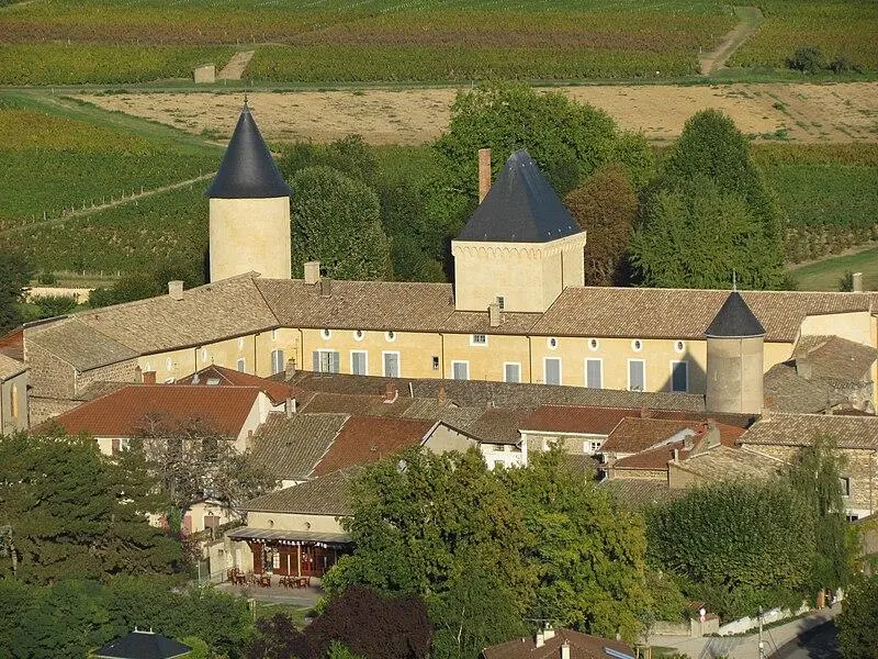 Foto von Schloss - Nesme - © Creative Commons (https://creativecommons.org/licenses/by-sa/4.0/deed.fr)