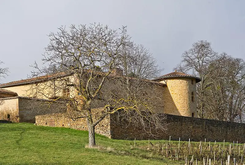 Foto von Singen Villa - Dominique Robert - © Creative Commons (https://creativecommons.org/licenses/by-sa/4.0/deed.fr)