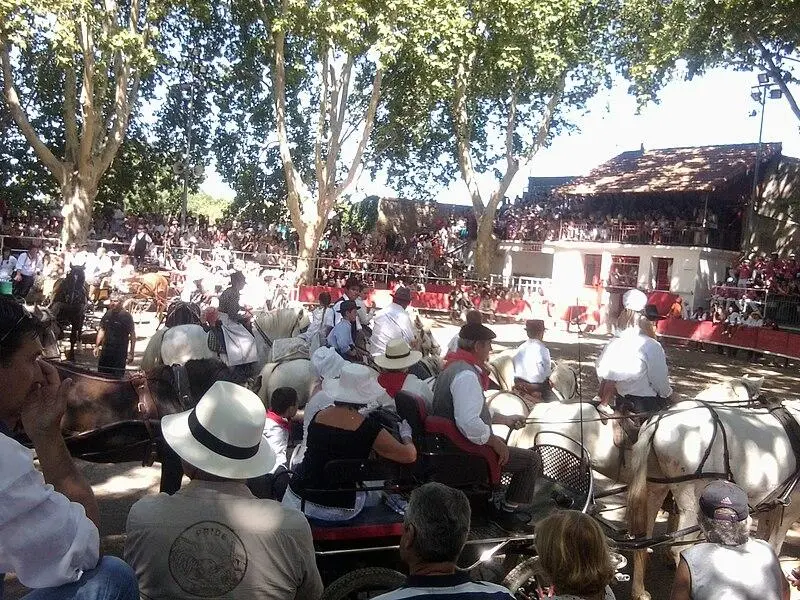 Picture of Arenas - Zubule - © Creative Commons (https://creativecommons.org/licenses/by-sa/4.0/deed.fr)