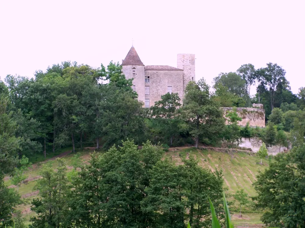 Foto de Castillo de Puch de Gensac - Sous licence Creative Commons (https://creativecommons.org/licenses/by-sa/4.0/deed.fr) - Par Henrysalome - © Creative Commons (https://creativecommons.org/licenses/by-sa/4.0/deed.fr)