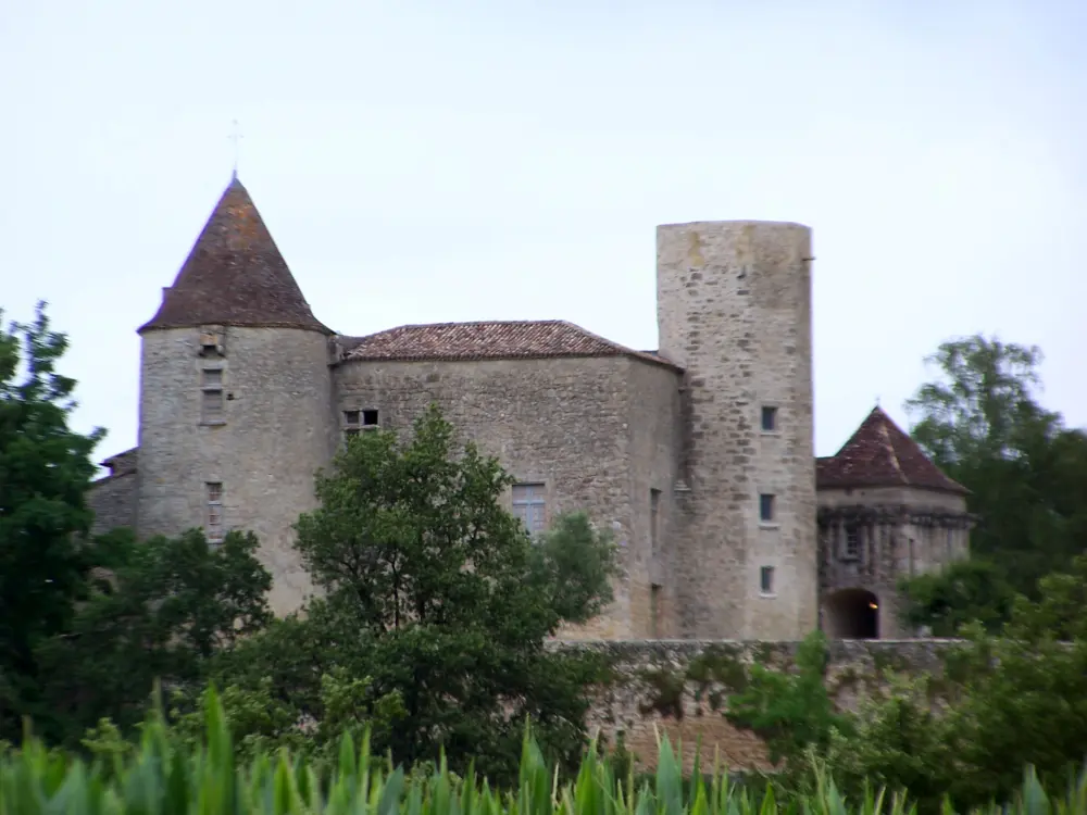 Foto de Castillo de Puch de Gensac - Sous licence Creative Commons (https://creativecommons.org/licenses/by-sa/4.0/deed.fr) - Par Henrysalome - © Creative Commons (https://creativecommons.org/licenses/by-sa/4.0/deed.fr)
