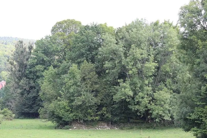 Foto di Ex Abbazia di Saint-Sulpice - Chabe01 - © Creative Commons (https://creativecommons.org/licenses/by-sa/4.0/deed.fr)