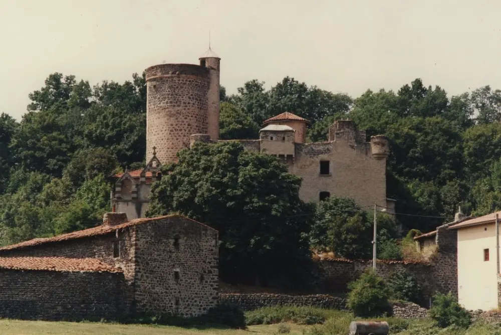 Picture of Mons Castle - POP Plateforme Ouverte du Patrimoine / Base Mérimée - © Ministère de la Culture (France), Médiathèque du patrimoine et de la photographie, tous droits réservés