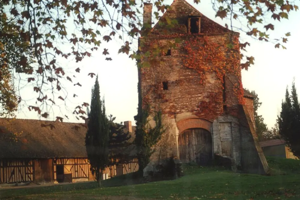 Foto von Motte Castle - POP Plateforme Ouverte du Patrimoine / Base Mérimée - © Ministère de la Culture (France), Médiathèque du patrimoine et de la photographie, tous droits réservés
