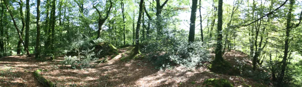 Picture of Kermain Motte - Sous licence Creative Commons (https://creativecommons.org/licenses/by-sa/4.0/deed.fr) - Par LionelRauch - © Creative Commons (https://creativecommons.org/licenses/by-sa/4.0/deed.fr)