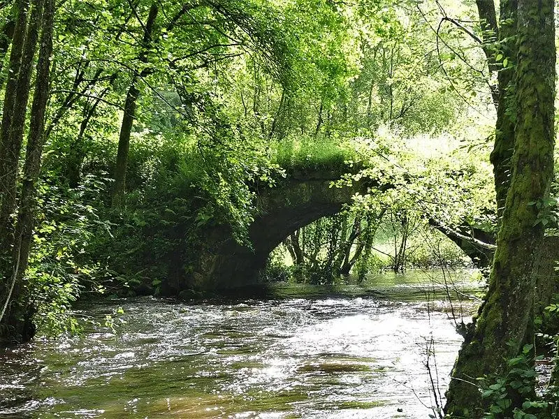 Picture of Bridge - Père Igor - © Creative Commons (https://creativecommons.org/licenses/by-sa/4.0/deed.fr)