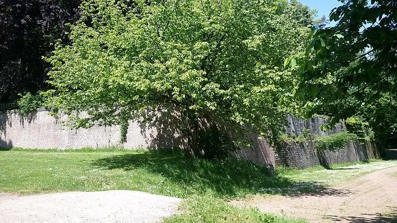 Foto von Bastion Condette auch Bastion Royal genannt - Leroypy - © Creative Commons (https://creativecommons.org/licenses/by-sa/4.0/deed.fr)