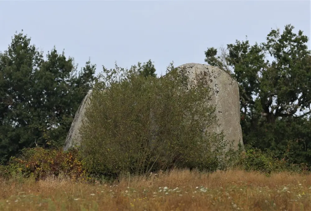 Foto de Rainière Menhirs - POP Plateforme Ouverte du Patrimoine / Base Mérimée - © Ministère de la Culture (France), Conservation des antiquités et des objets d’art de Vendée - Tous droits réservés
