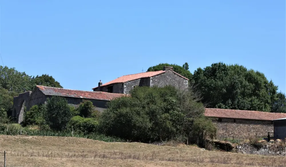 Foto de Castillo de Noyers - POP Plateforme Ouverte du Patrimoine / Base Mérimée - © Ministère de la Culture (France), Conservation des antiquités et des objets d’art de Vendée - Tous droits réservés
