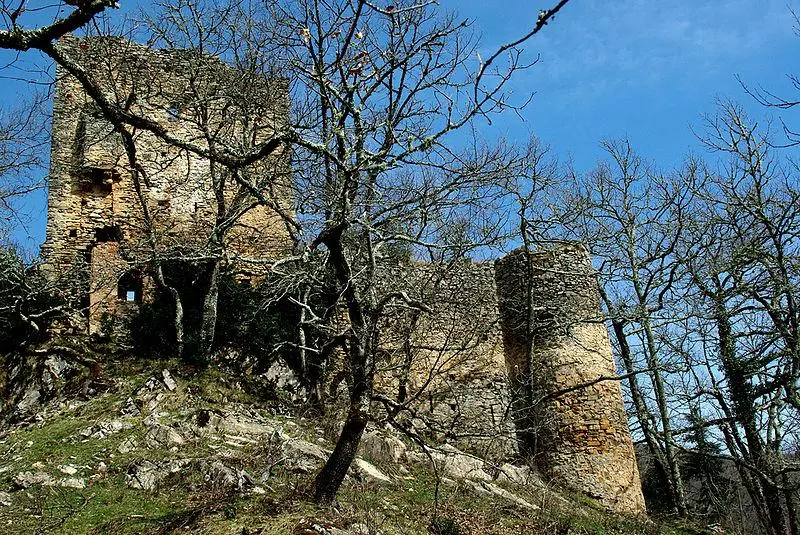 Picture of Château de la Garde (also in commune of Ustou) - PierreG 09 - © Creative Commons (https://creativecommons.org/licenses/by-sa/4.0/deed.fr)