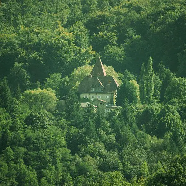 Foto de Château de Poudelay - Ajc09 - © Creative Commons (https://creativecommons.org/licenses/by-sa/4.0/deed.fr)