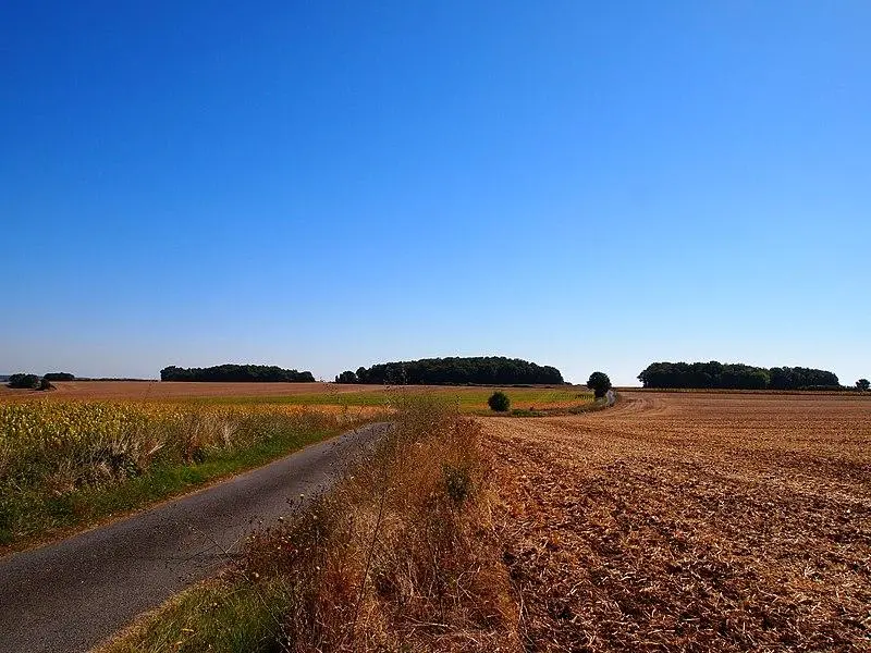Foto von Tumulus der kleine Dognon - Rosier - © Creative Commons (https://creativecommons.org/licenses/by-sa/4.0/deed.fr)