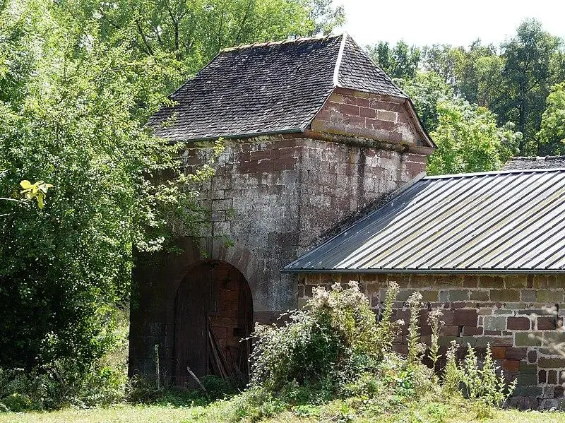 Foto von Taube - Père Igor - © Creative Commons (https://creativecommons.org/licenses/by-sa/4.0/deed.fr)
