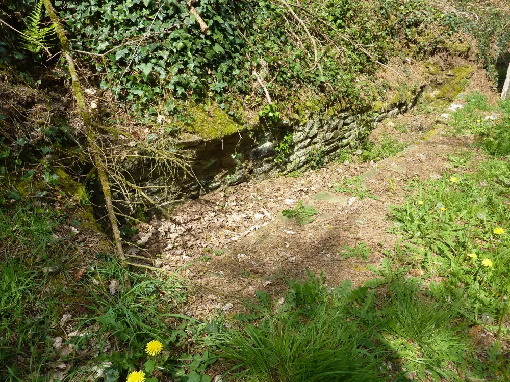 Picture of Kervoaguel tunnel (also in commune of Paule) - Sous licence Creative Commons (https://creativecommons.org/licenses/by-sa/4.0/deed.fr) - Par Moreau.henri - © Creative Commons (https://creativecommons.org/licenses/by-sa/4.0/deed.fr)