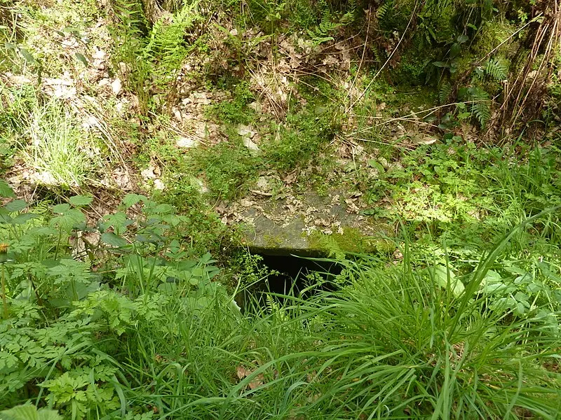 Picture of Kervoaguel tunnel (also in commune of Paule) - Moreau.henri - © Creative Commons (https://creativecommons.org/licenses/by-sa/4.0/deed.fr)