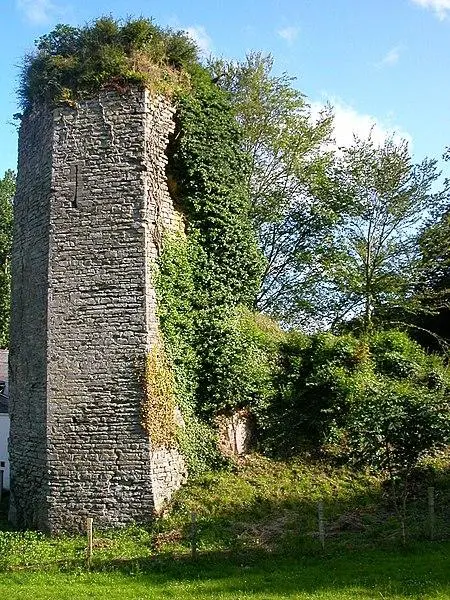 Picture of Ruins of the Chèze castle - Farz brujunet - © Creative Commons (https://creativecommons.org/licenses/by-sa/4.0/deed.fr)