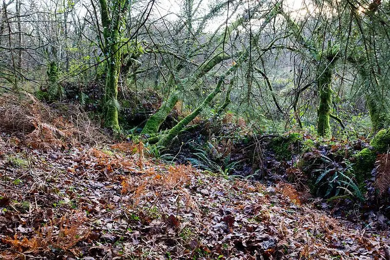 Foto von Befestigte Dorf von Goarem-Ar-Manec'h - Édouard Hue (User:EdouardHue) - © Creative Commons (https://creativecommons.org/licenses/by-sa/4.0/deed.fr)