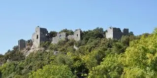 Foto de Ruinas del castillo - Viragekev - © Creative Commons (https://creativecommons.org/licenses/by-sa/4.0/deed.fr)