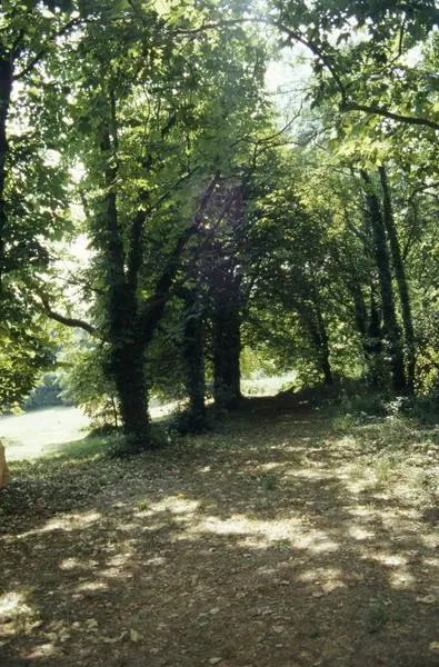 Foto von Domaine de Montaut (alte Kardinalität Lackierung) - POP Plateforme Ouverte du Patrimoine / Base Mérimée - © Monuments historiques