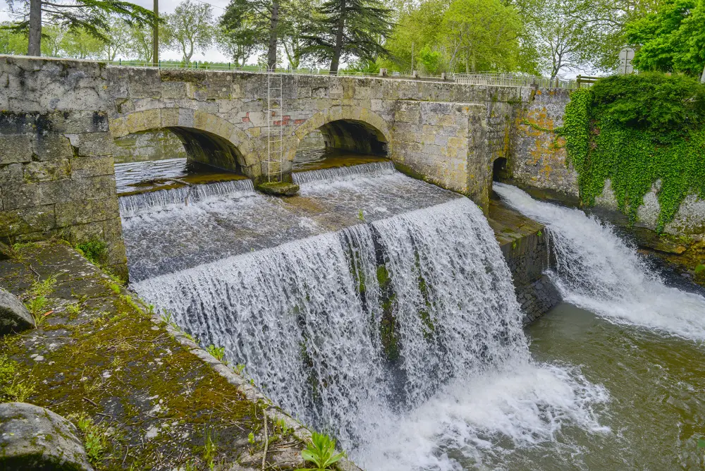 Picture of LAUDOT EPANCOIR - Sous licence Creative Commons (https://creativecommons.org/licenses/by-sa/4.0/deed.fr) - Par Dominique Repérant - © Creative Commons (https://creativecommons.org/licenses/by-sa/4.0/deed.fr)